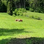 Apartmán Buchwald -obinghof- *