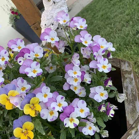 Lägenhet Buchwald *