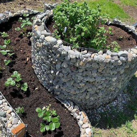 Buchwald * Maishofen