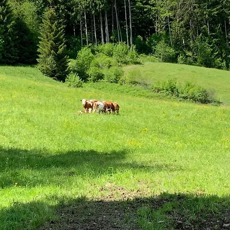 Apartment Buchwald -obinghof- *