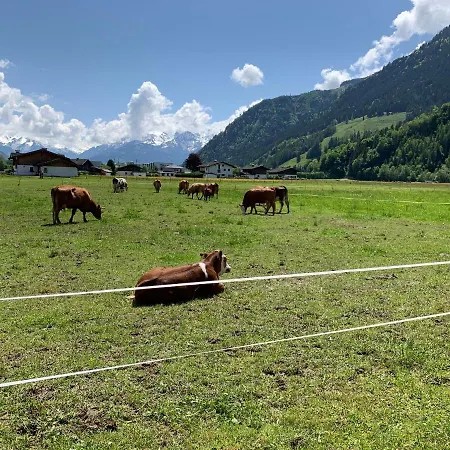 Buchwald Apartman Maishofen