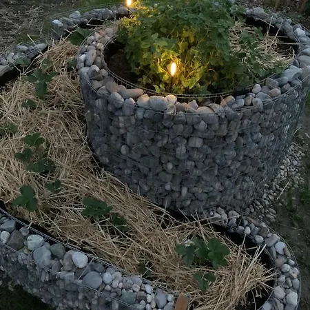 Buchwald Appartamento