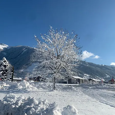 Buchwald * Maishofen