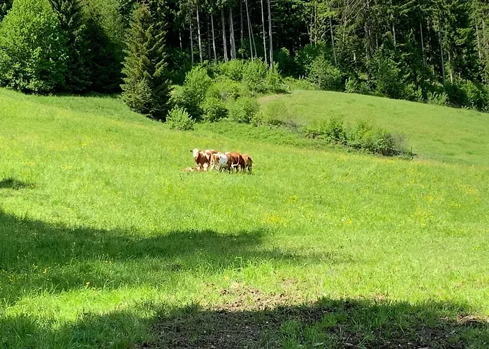 Apartmán Buchwald -obinghof- *