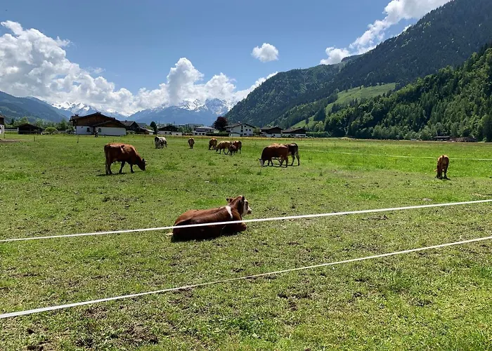 Buchwald -obinghof- Apartmán Maishofen