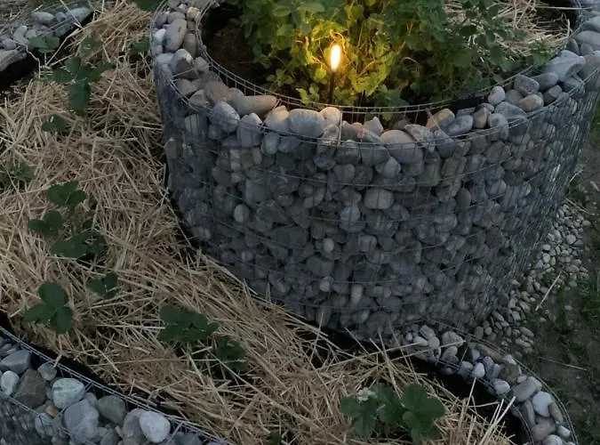 Buchwald -obinghof- Apartmán