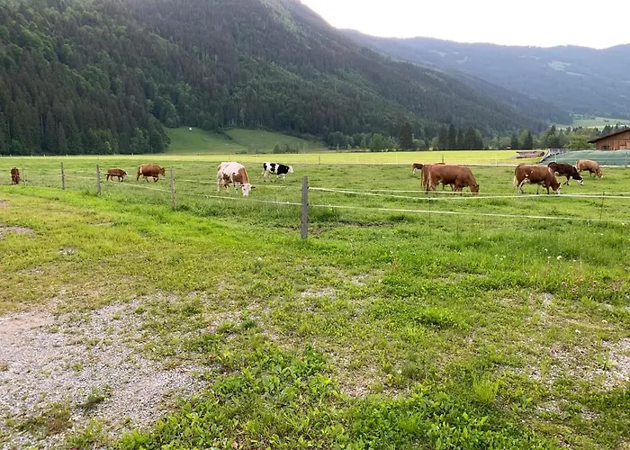 Buchwald -obinghof- Maishofen