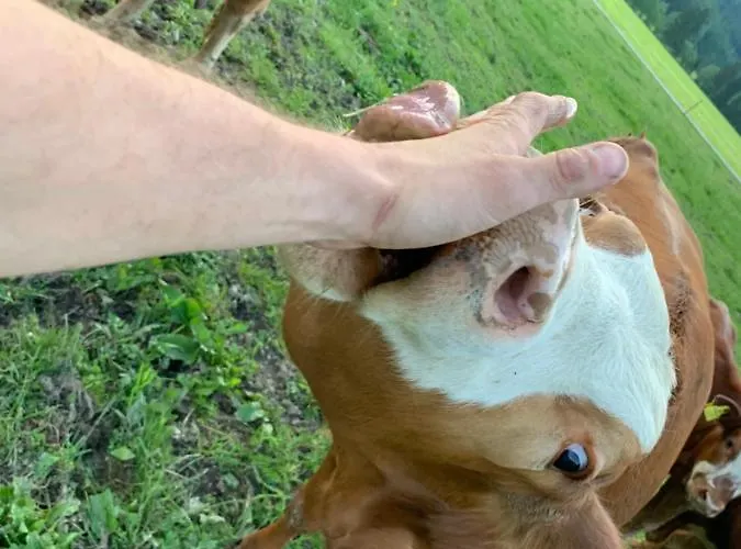 Buchwald -obinghof- Διαμέρισμα