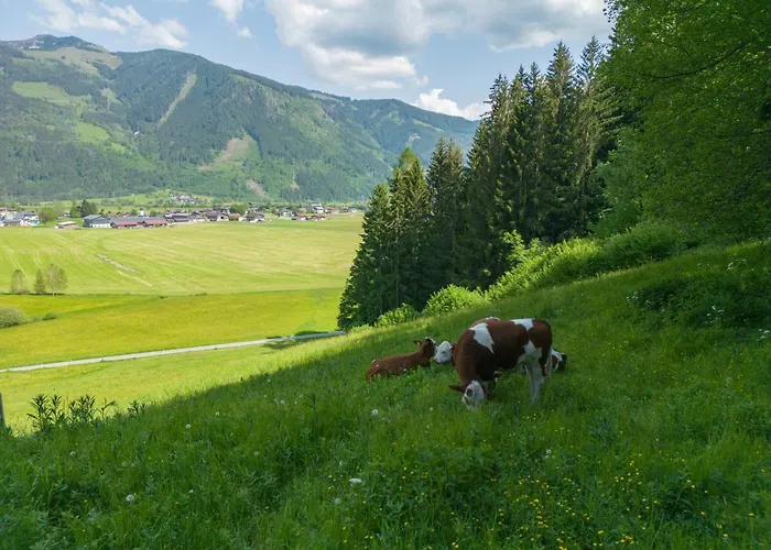 Buchwald -obinghof- Apartmán