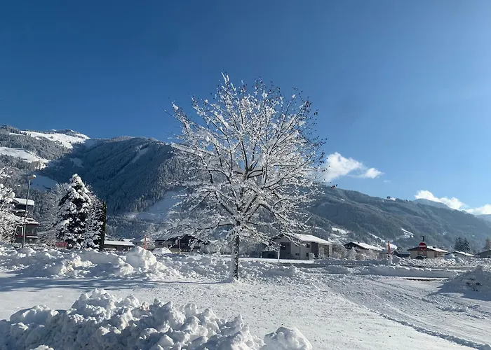 Buchwald -obinghof- * Maishofen