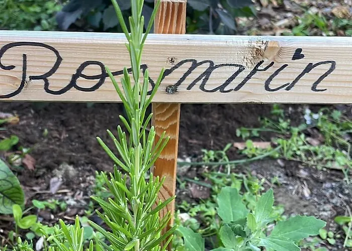 Buchwald -obinghof- Διαμέρισμα